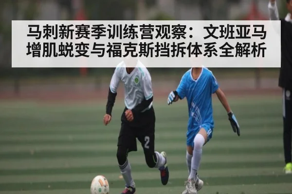 马刺新赛季训练营观察：文班亚马增肌蜕变与福克斯挡拆体系全解析